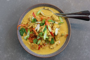 a bowl of chicken casserole with a creamy coconut sauce coloured yellow from turmeric. with red capsicum and green spring onions.